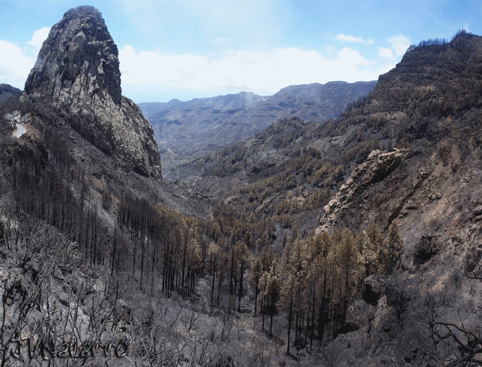 gomera