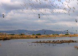 Haz clic en la foto para verla a tamaño completo